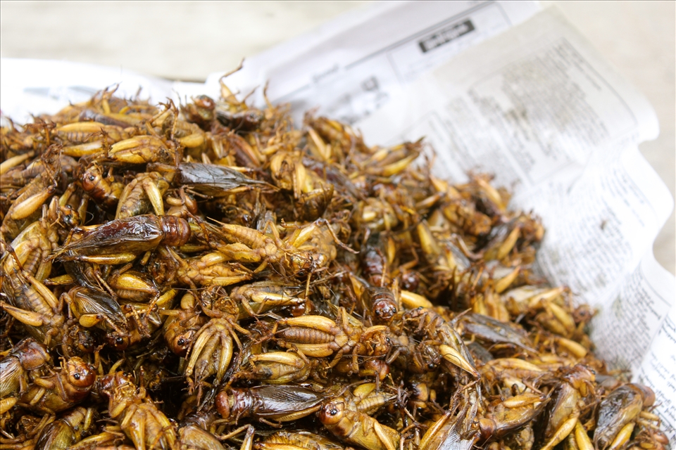 A woman cooks chapattis over a wood fire in her mud brick house.