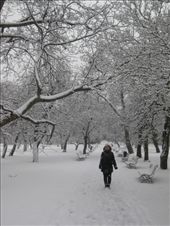 by piratepete, Views[269]