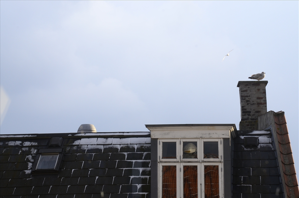 Goodbye my lovely Copenhague... I'll meet you soon