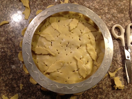 Got to Have a Collar