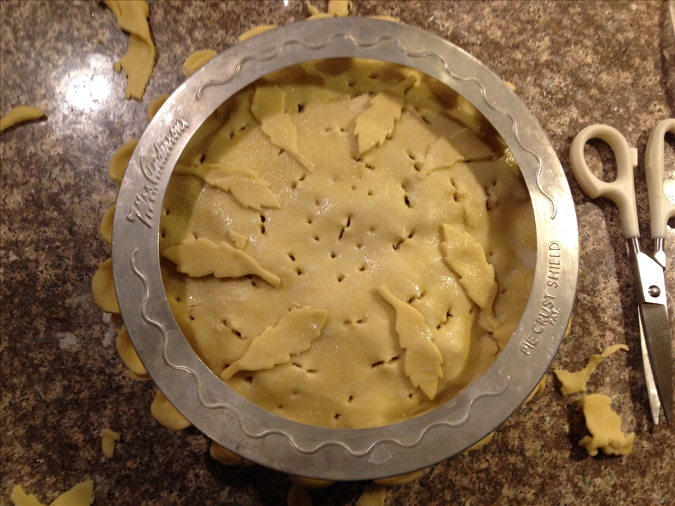 Got to Have a Collar