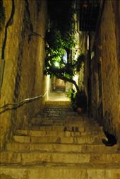 by pjandc, Views[133]