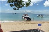 by pjandc, Views[258]