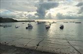 by pjandc, Views[226]