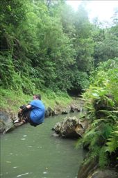 by pjandc, Views[198]