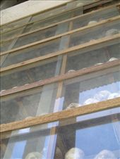 Scull Memorial: by pjandc, Views[196]