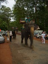 by pjandc, Views[198]