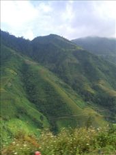 by pjandc, Views[222]