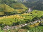 Rice fields in Sapa: by pjandc, Views[561]