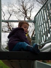 by pjandc, Views[229]