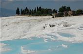 Pamukkale Travertines: by pjandc, Views[980]