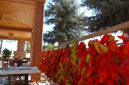 Peppers drying by the hundreds