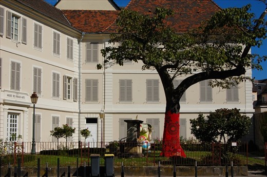 Knitted tree in Mulhouse