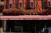 Ribeauville France: by pjandc, Views[195]