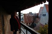 The wall at Nordlingen: by pjandc, Views[177]