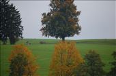 Countryside Fussen: by pjandc, Views[332]