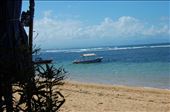 Sanur: by pjandc, Views[140]