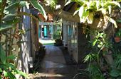 Path to our villa: by pjandc, Views[300]