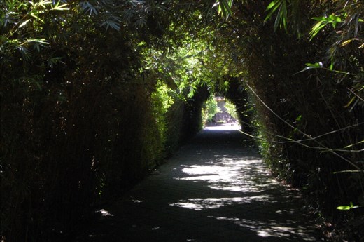 Driveway to our villa