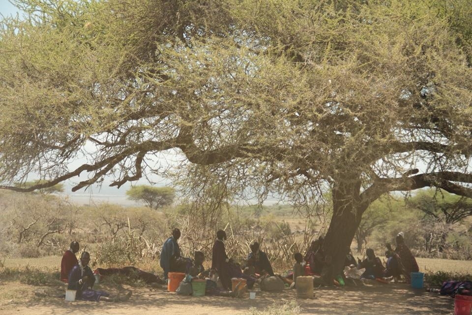 Hello, Goodbye.
The landscape had been shifting dramatically for the past three hours..Rainforests, followed by vast green hills and later an arid desert. Safari’s will break your heart because you don’t get the chance to stop and chill under the tree with the souls that are just as curious about you as you are about them.
