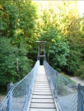 Suspension bridge at Bright Angel Park, over the Koksilah River.: by pmok, Views[272]