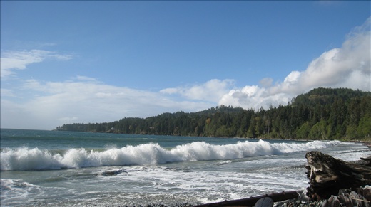 French Beach on the west coast of Vancouver Island