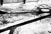 Polish winter: by polka, Views[727]