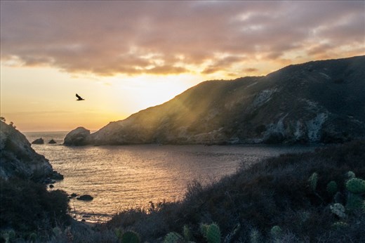 Catalina, California