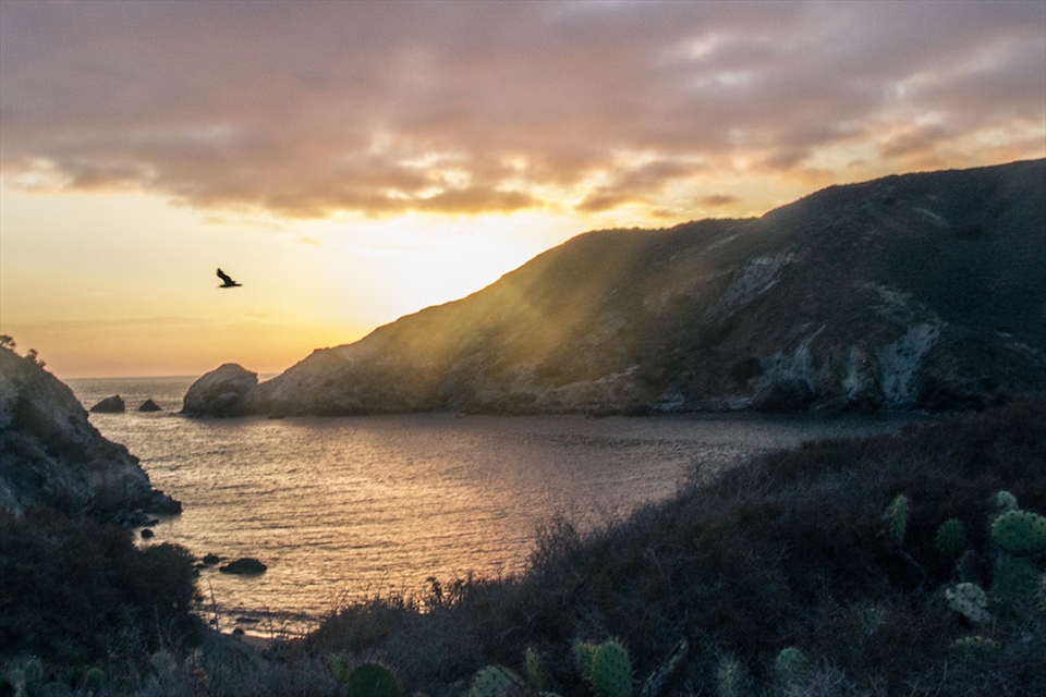Catalina, California