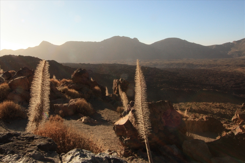 Morning at the volcanic Parque Nacional del Teide
