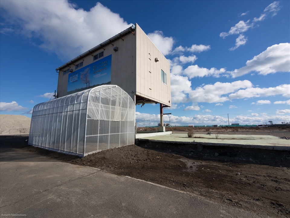 The same building as entry-4. A sakura tree has been planted to give hope.