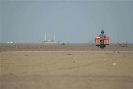 a wholesaler, riding a motorbike to pick frsh fishes from the boat