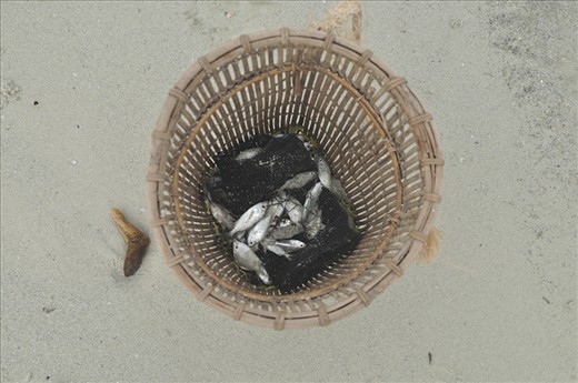 strong winds, big waves and murky water makes only  few fish caught