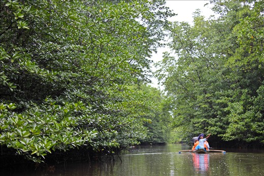 Being the second best, Mangrove Forest should be given more exposure.