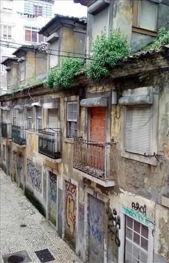 Wandering the backstreets, experience Lisboa.