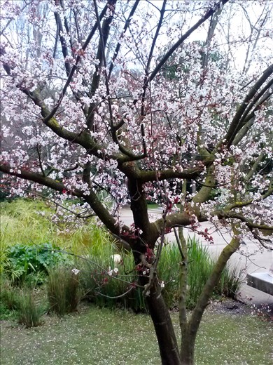 Grasping the heritage at the Meseu Calouste Gulbenkian, experience the art of Portugal's past.