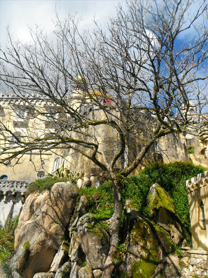 Climbing up the mountain to Pena Castle, gain the royal experience.