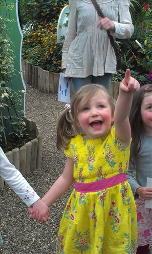 Let me chase those butterflies...