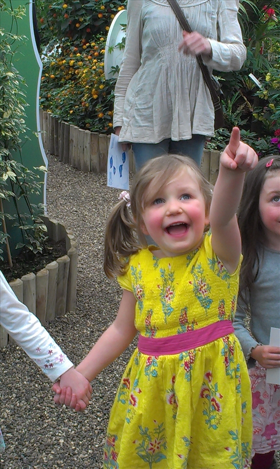 Let me chase those butterflies...