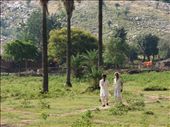 In 2012, the whole village has been relocated to unknown place. Now I am not sure whether we should be worried for those tigers to adapt the new environment or for these people.: by prabhuns, Views[309]