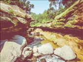 Into the Wild: by prakhardeep, Views[252]