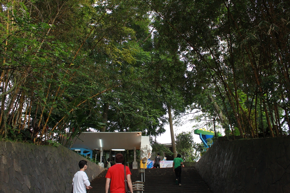 some visitors walking up stairs heading the temple for a prayer before the years end.