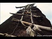 Silent valley national park,kerala,india: by pranav, Views[105]