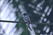 Hello: by prasan321, Views[120]