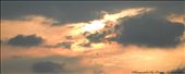 Golden Evening: by prasan321, Views[118]