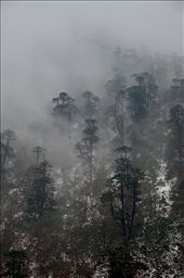 Elements of life merge into each other as one: by prashantrana, Views[271]