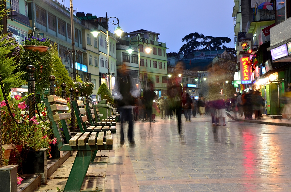 the path may not walk like us, but it always reaches somewhere.