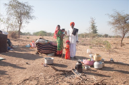 The gypsy shepherd family.