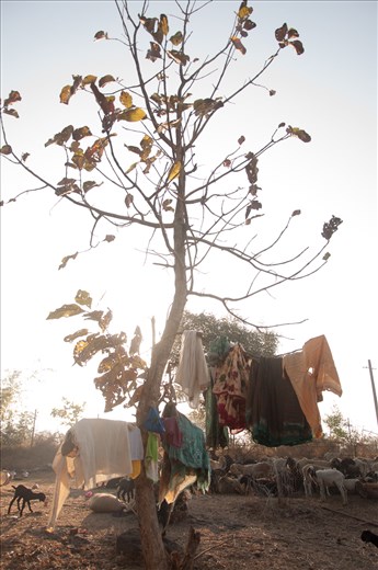 This shows how they adapt to any place and get their work done anywhere. 