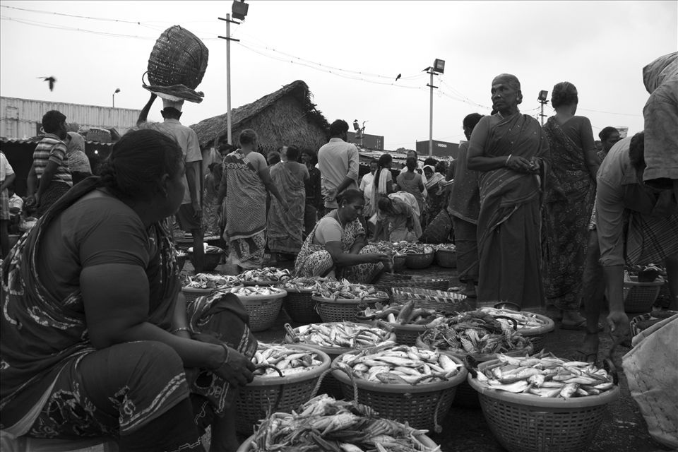 Business - Sukrithi and Shanthi wait for Customers to sell off the Fish